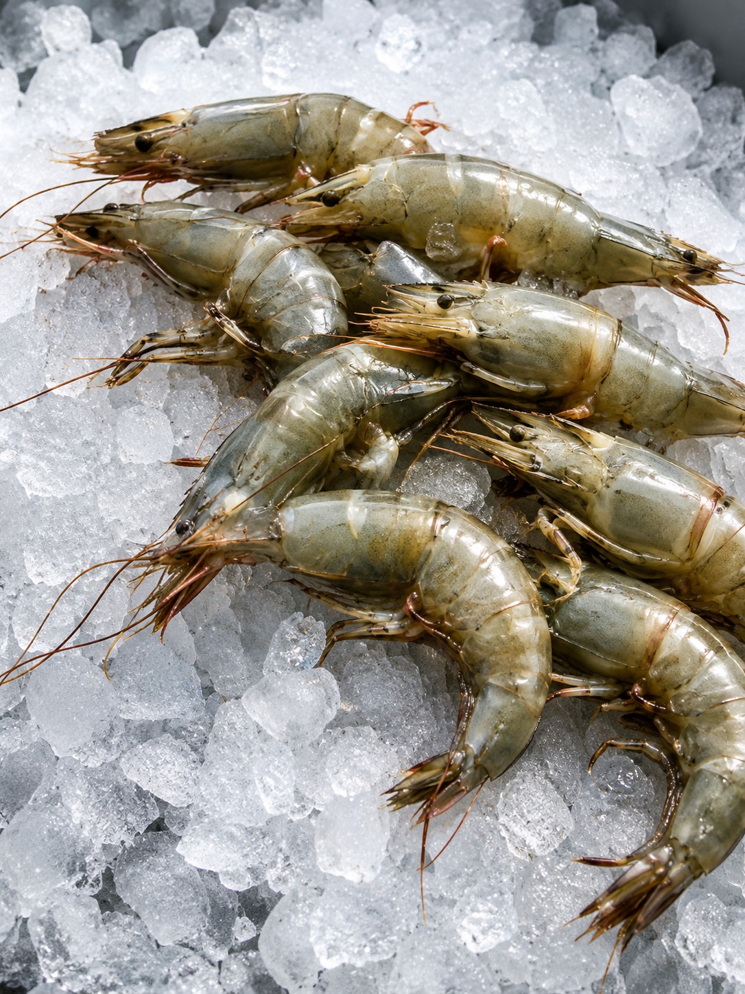 FRESH SEAFOOD