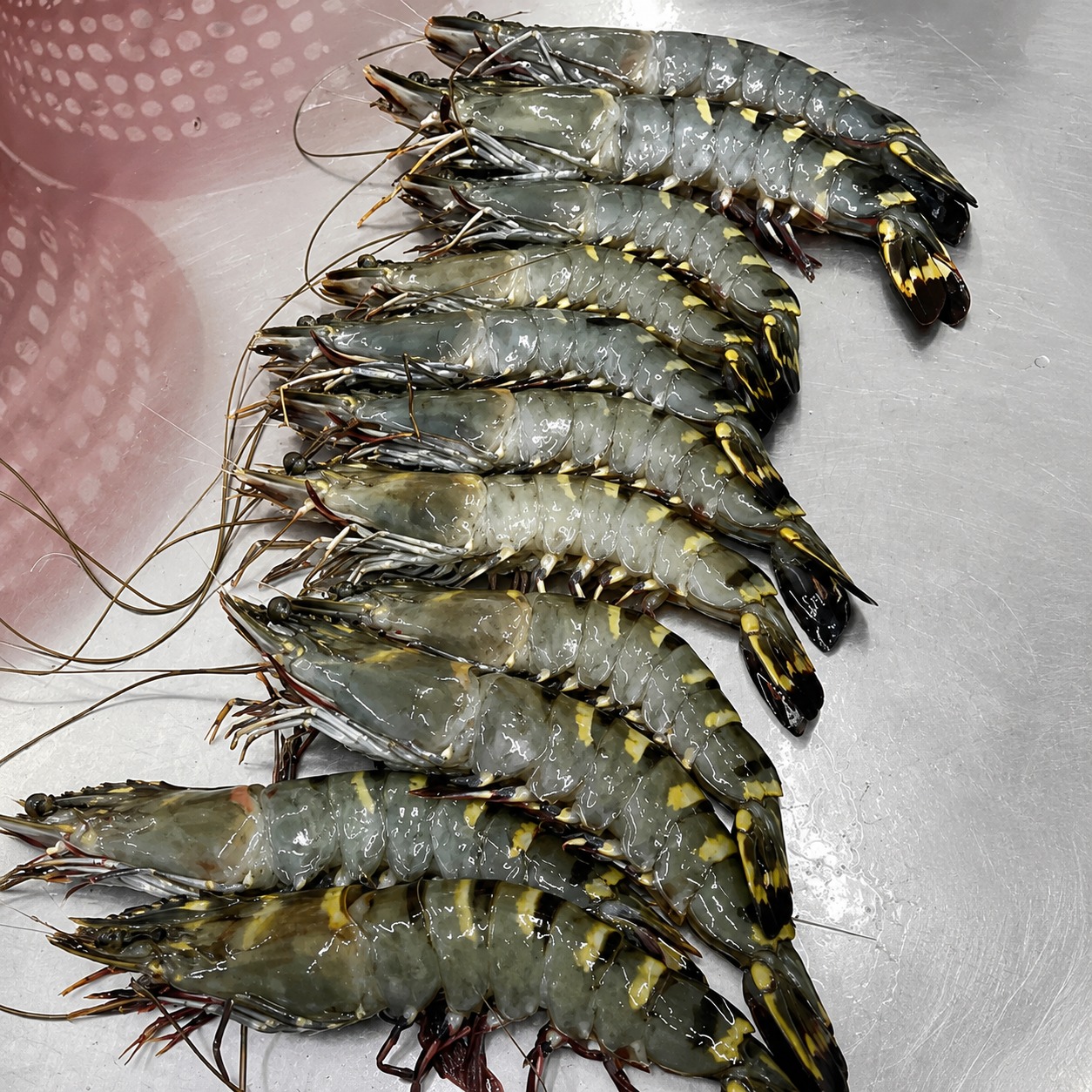 Black Tiger Shrimp