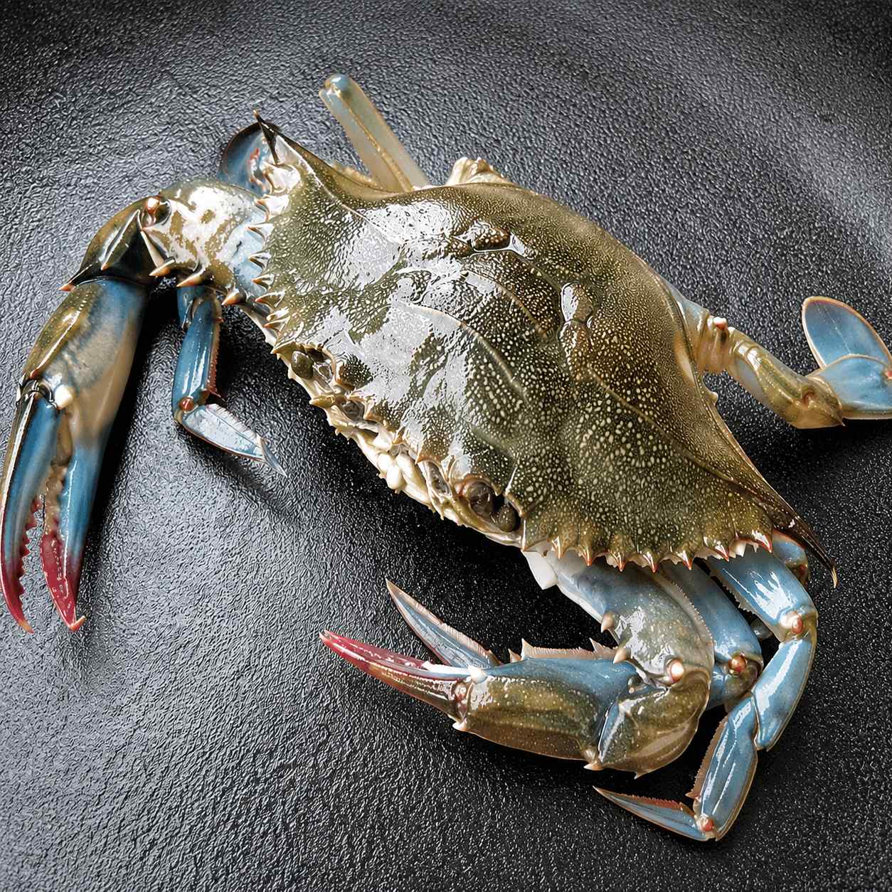 Soft-Shell Crab (Scylla Serrata)