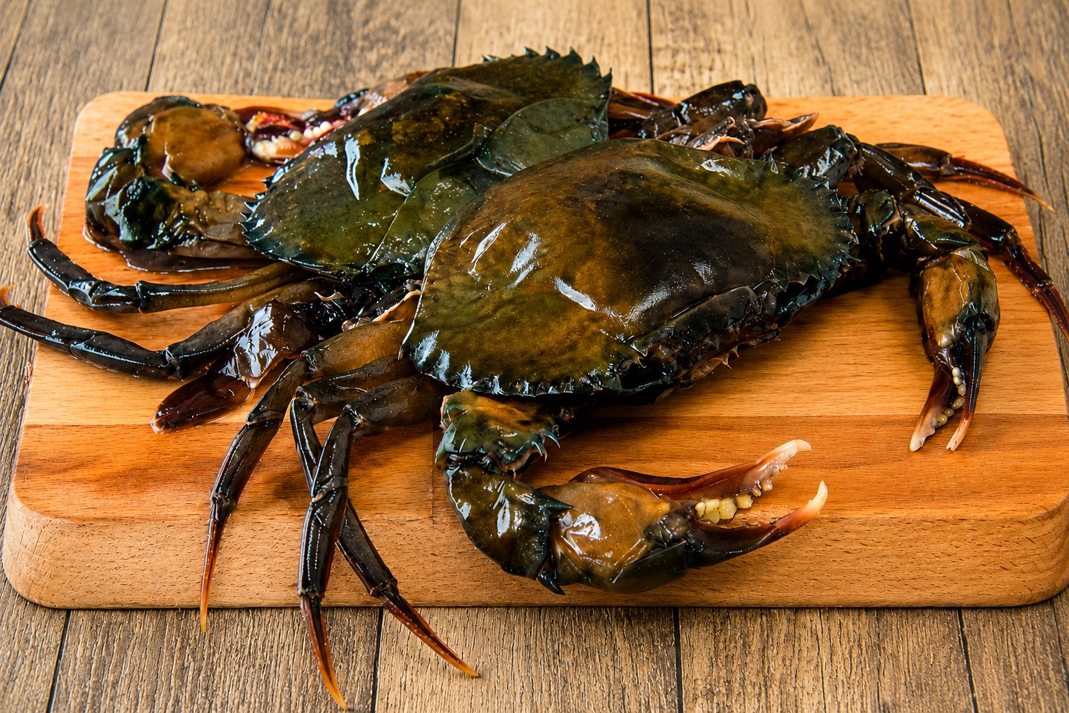Soft-Shell Crab (Scylla Serrata)